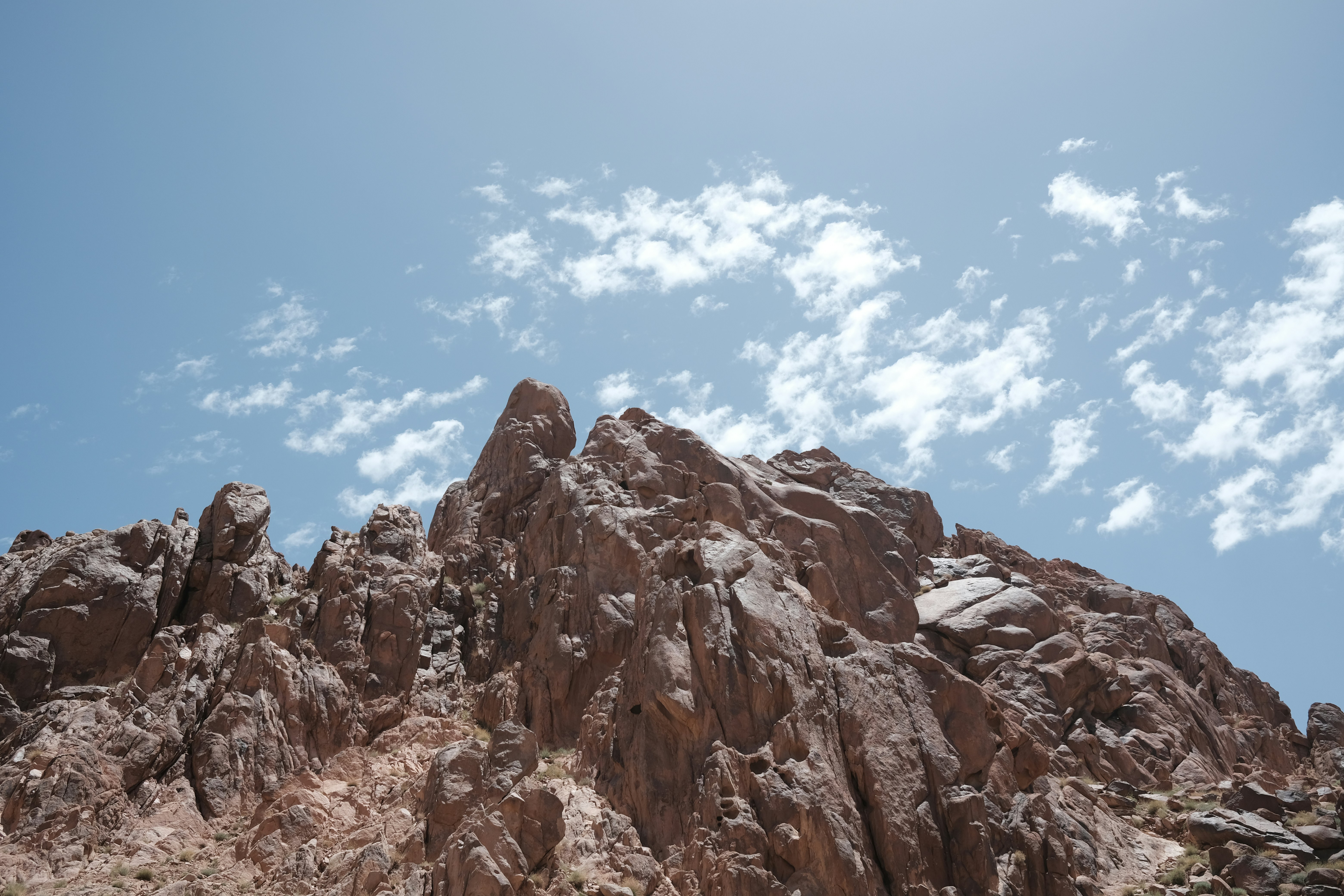 mount sinai