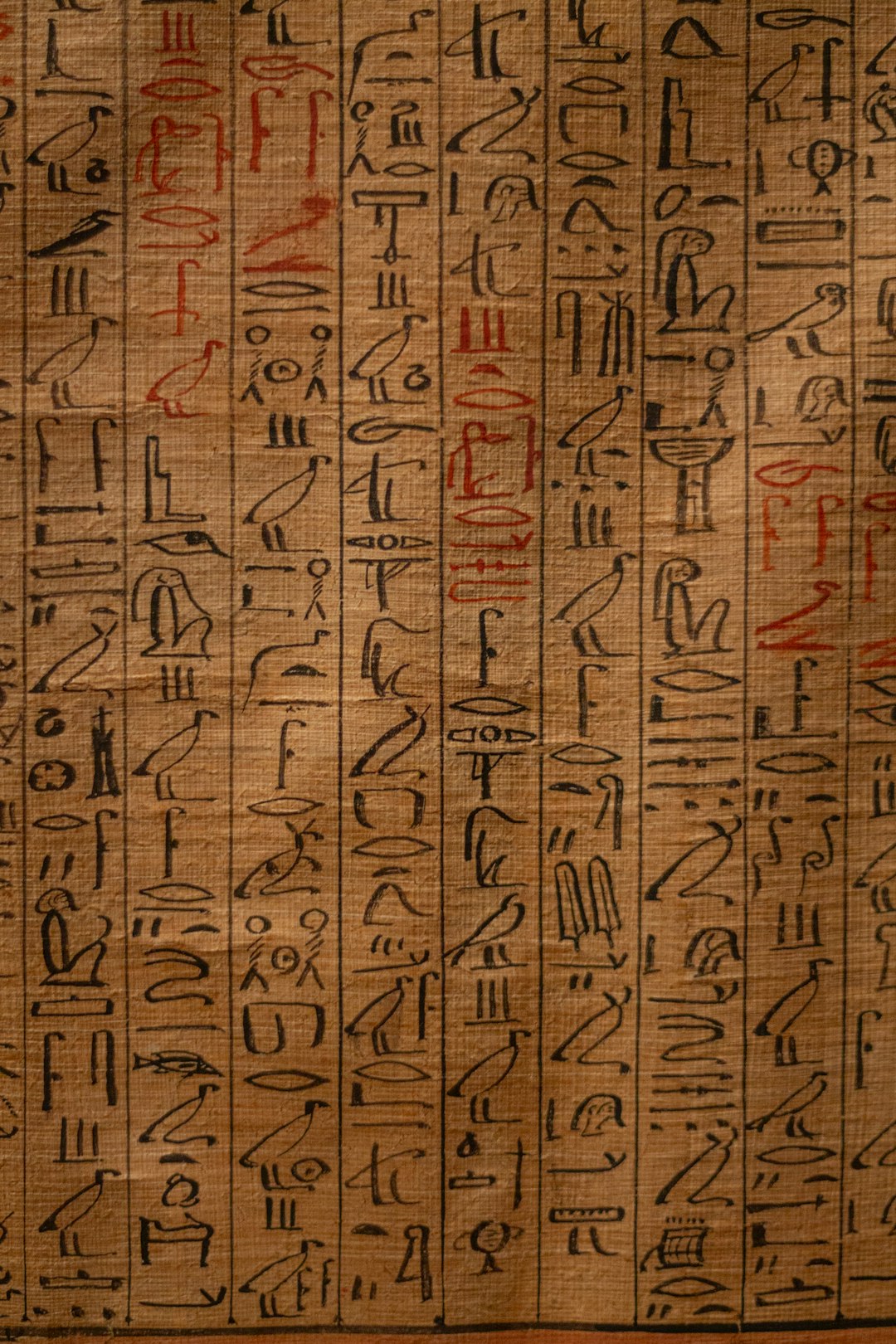 Handmade papyrus paper